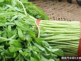 如何挑选茼蒿 泥蒿是茼蒿吗