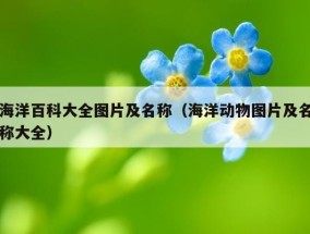 海洋百科大全图片及名称（海洋动物图片及名称大全）