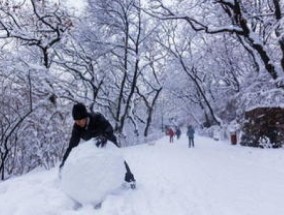 为什么冬天一般都会下雪？