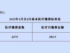 灵活就业人员2022年社保费补缴窗口即将关闭