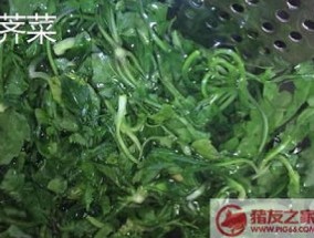 独行菜和荠菜的区别