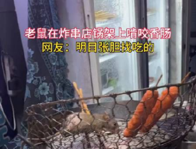 炸串店老鼠啃食香肠被网友拍下 内幕曝光简直太意外了