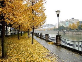 成都11月份的温度大概是多少 成都11月份天气适合旅游吗