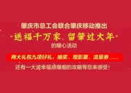 2024年肇庆肇福保有什么不同吗（四大升级）