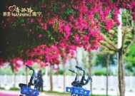 格桑花是什么花，格桑花什么时候开