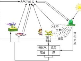 引起温室效应的气体