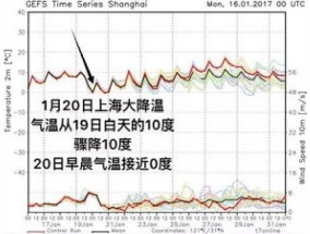 上海冬天气温多少2024 上海冬天是不是很冷