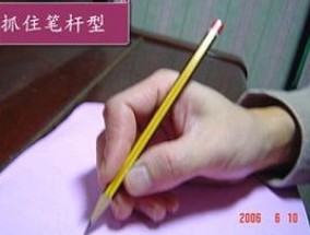 郁金香如何繁殖 鳞茎培养播种分球等方式