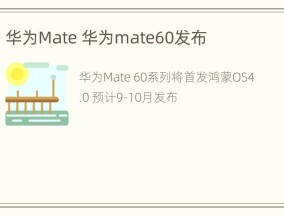 华为Mate 华为mate60发布