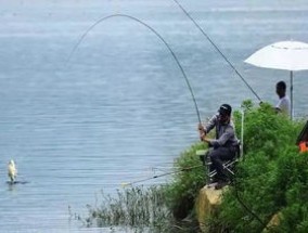 水库野钓用竿最佳长度，用什么窝料好